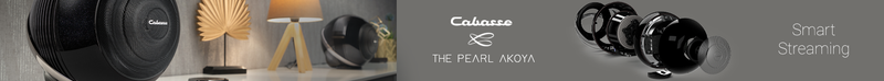 Pearl Wireless Aktiv Lautsprecher und Streamer