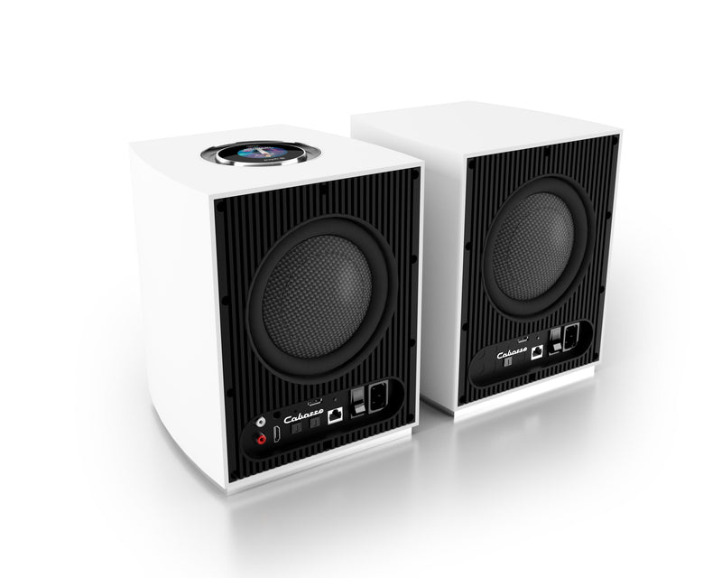 Rialto Aktiv Wireless Streaming Lautsprecher