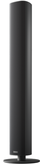 ACE 50 Wireless Akitv Standlautsprecher