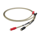 Epic RCA Cinch Kabel